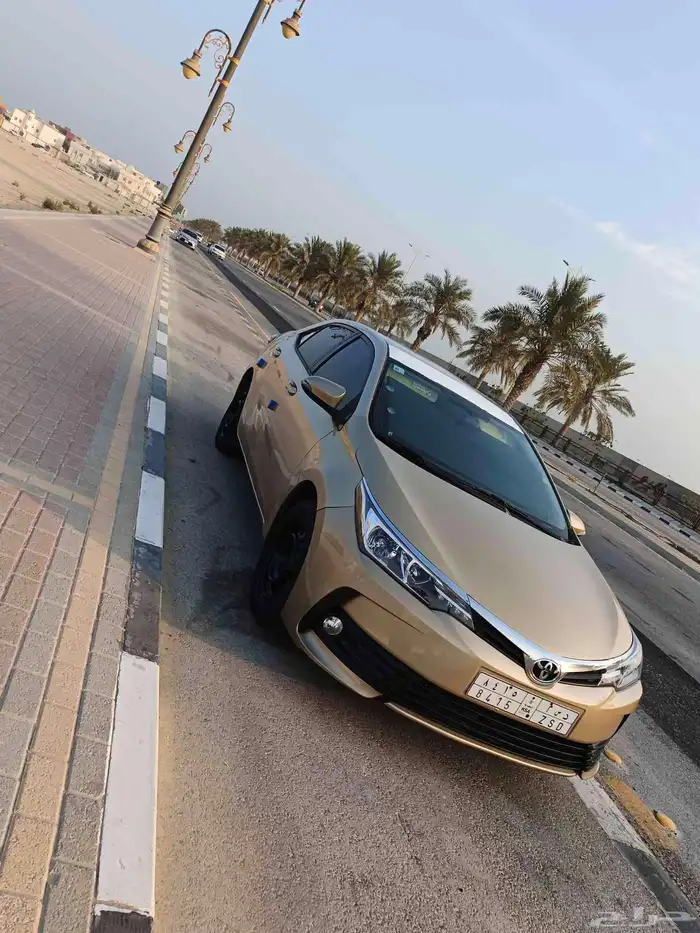 كورولا 2018 ذهبي 3