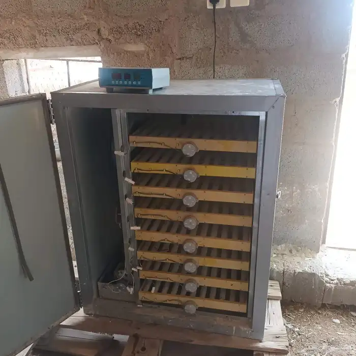 فقاسه تماتيك شغل تشيل يمكن 3000 0