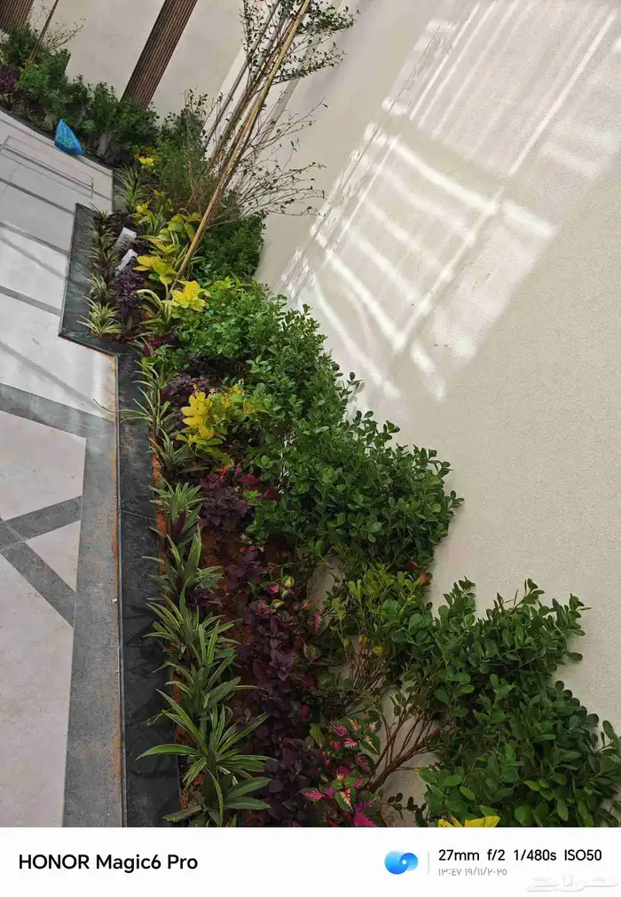 الزراعة الثيل الطبيعي وتركيب شبكات الري العادي والاتوماتيك 3