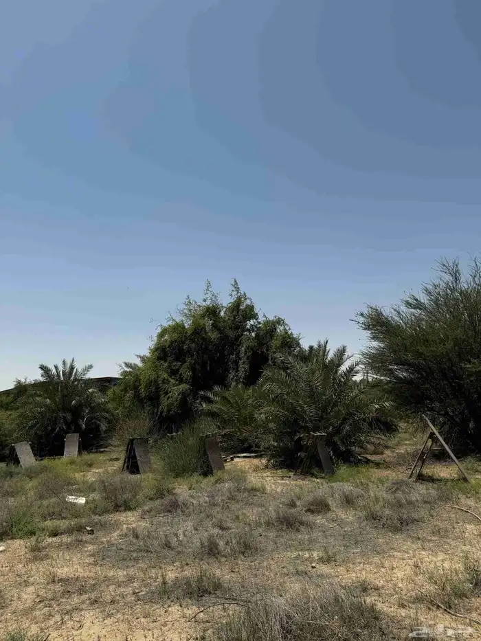 ارض زراعي للبيع الجبيل الصناعيه 7