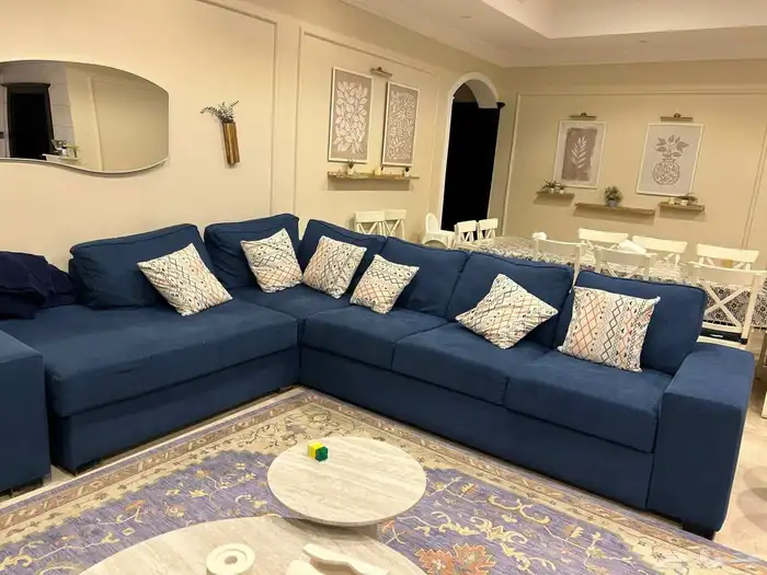 انتريه مع سجادة مع شاشه 0