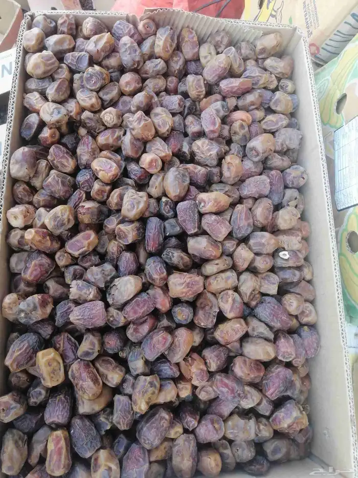 ربيعه 45 كرتون السعر 3 ونصف ريال 0