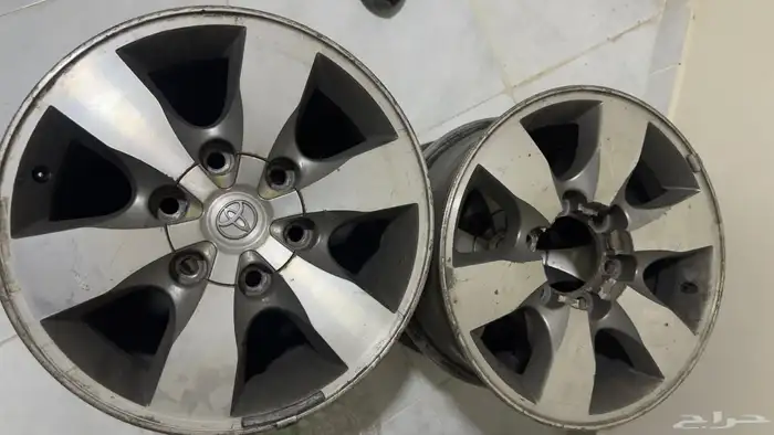 جنوط فورتشنر 0