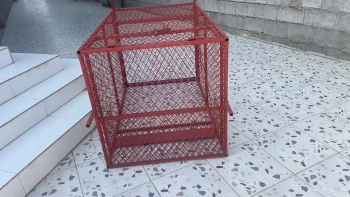 مصيدة قرود 5