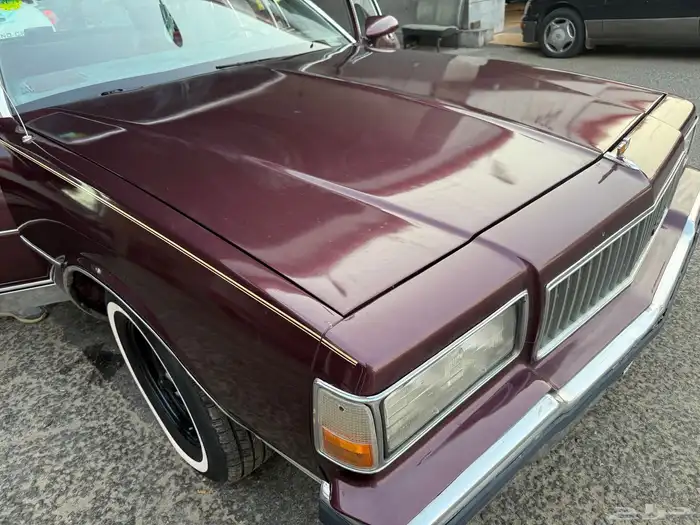 كابرس 89 عنابي 3