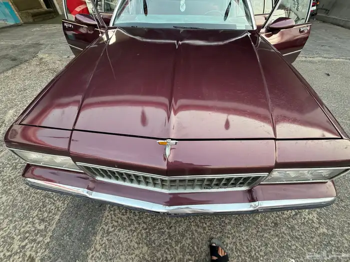 كابرس 89 عنابي 0