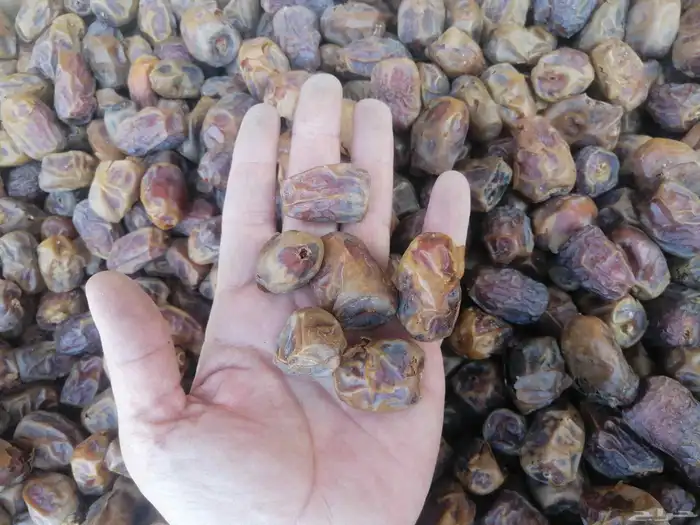 ربيعه 45 كرتون السعر 3 ونصف ريال 1