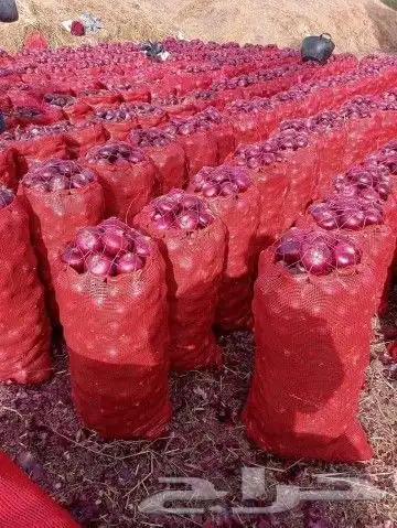 فرص استثمار واعدة ومتميزة 2