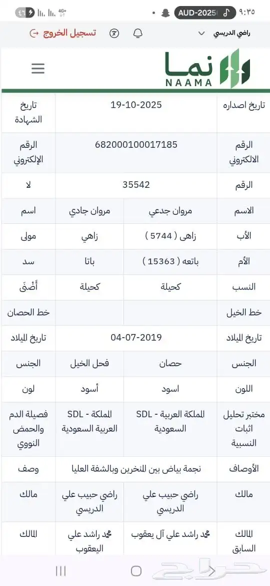 مزاد هجر موثوق لدى منصة نما   https   chat.whatsapp.com 2