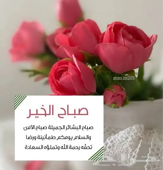 أبحث عن عمل 0