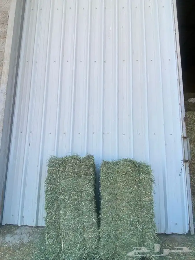 بلوبنك للبيع 3