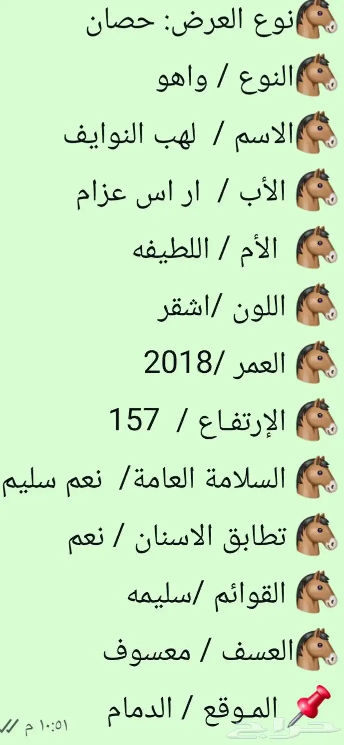 حصان واهو بالدمام 2