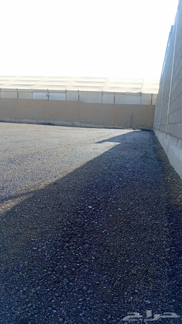 مقاول دفان وتسويه توريد دفان تأجير معدات ثقيلة تنفيذ طرق 0