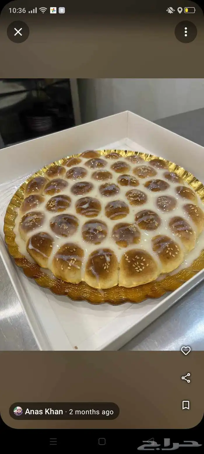 معلم خليه نحل 5