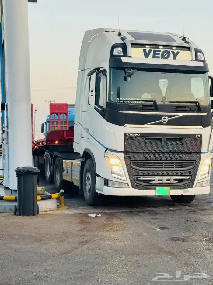 المدينة المنورة ضباء تبوك شرمه 0