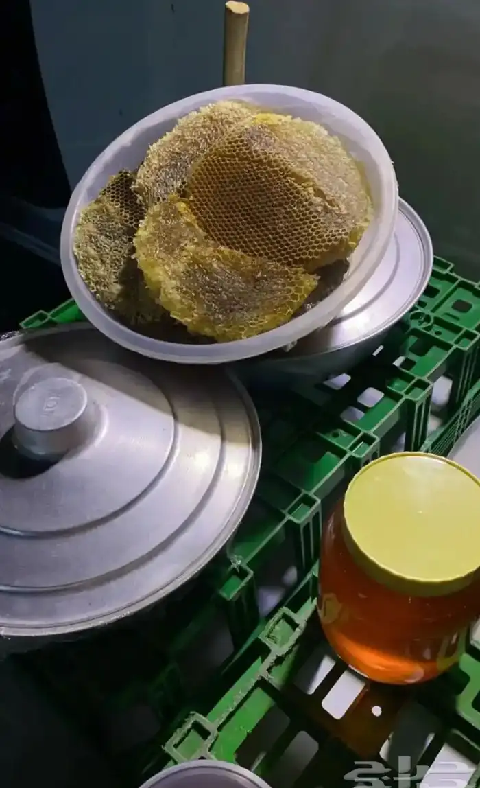 عسل سدر بلدي 3