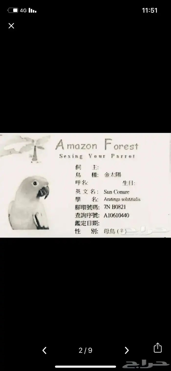 زوج صن كنيور منتج 4