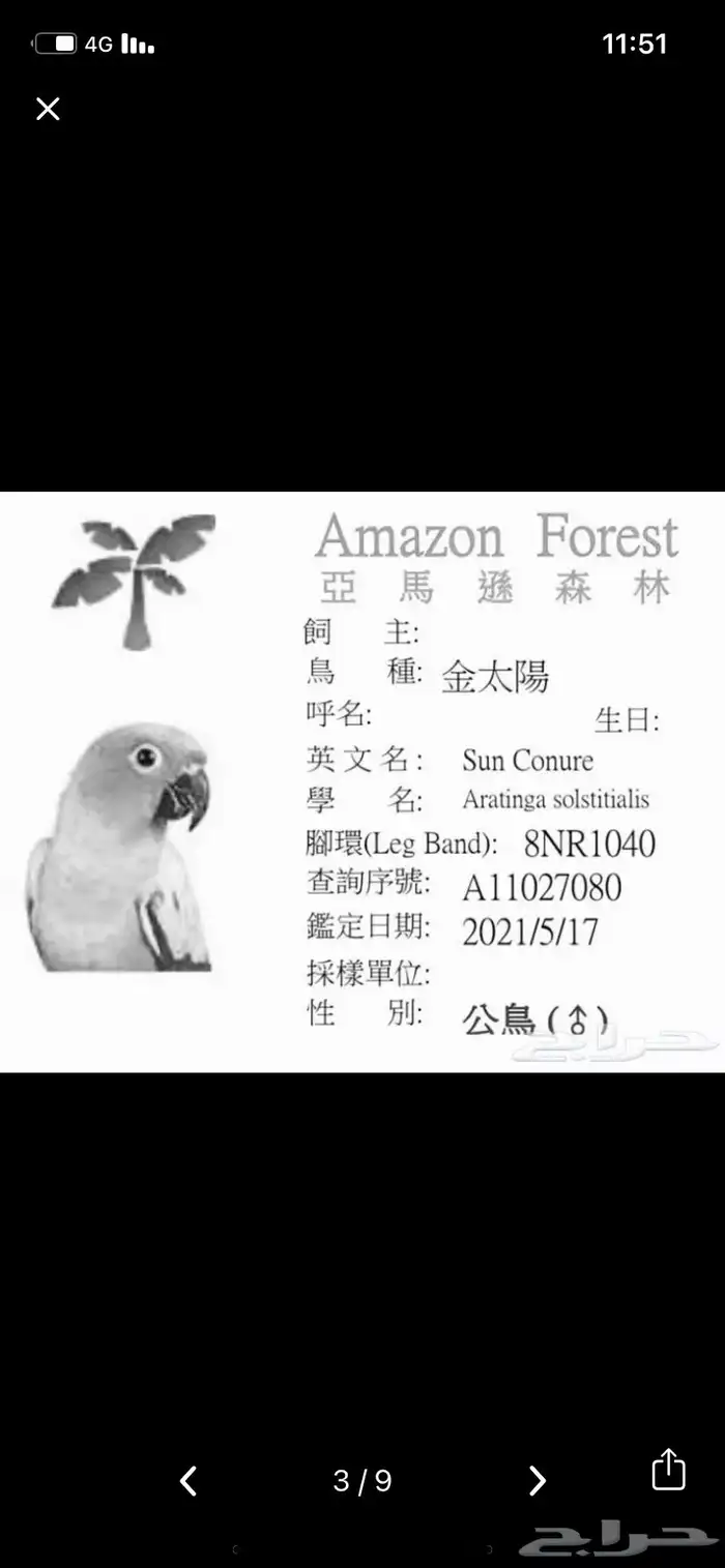 زوج صن كنيور منتج 5