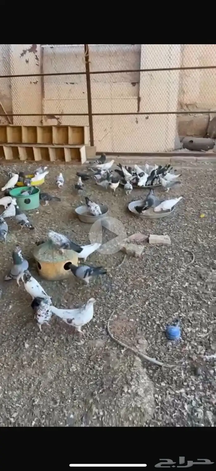 حمام مشكل للبيع 0