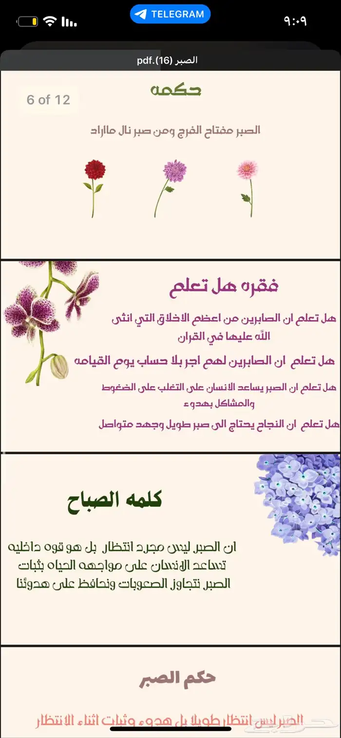 عروض بوربوينت وبحوث 4