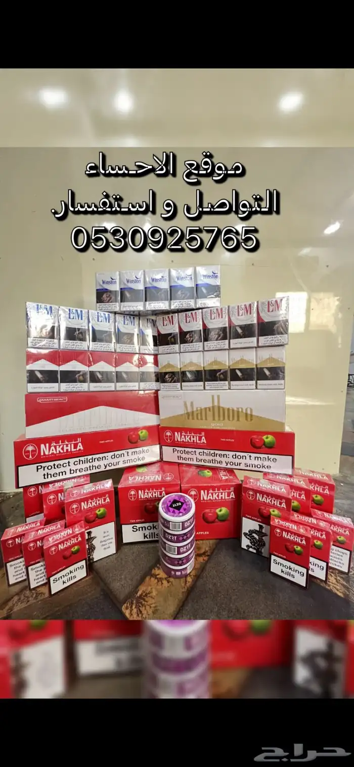 علاجات خيل 9