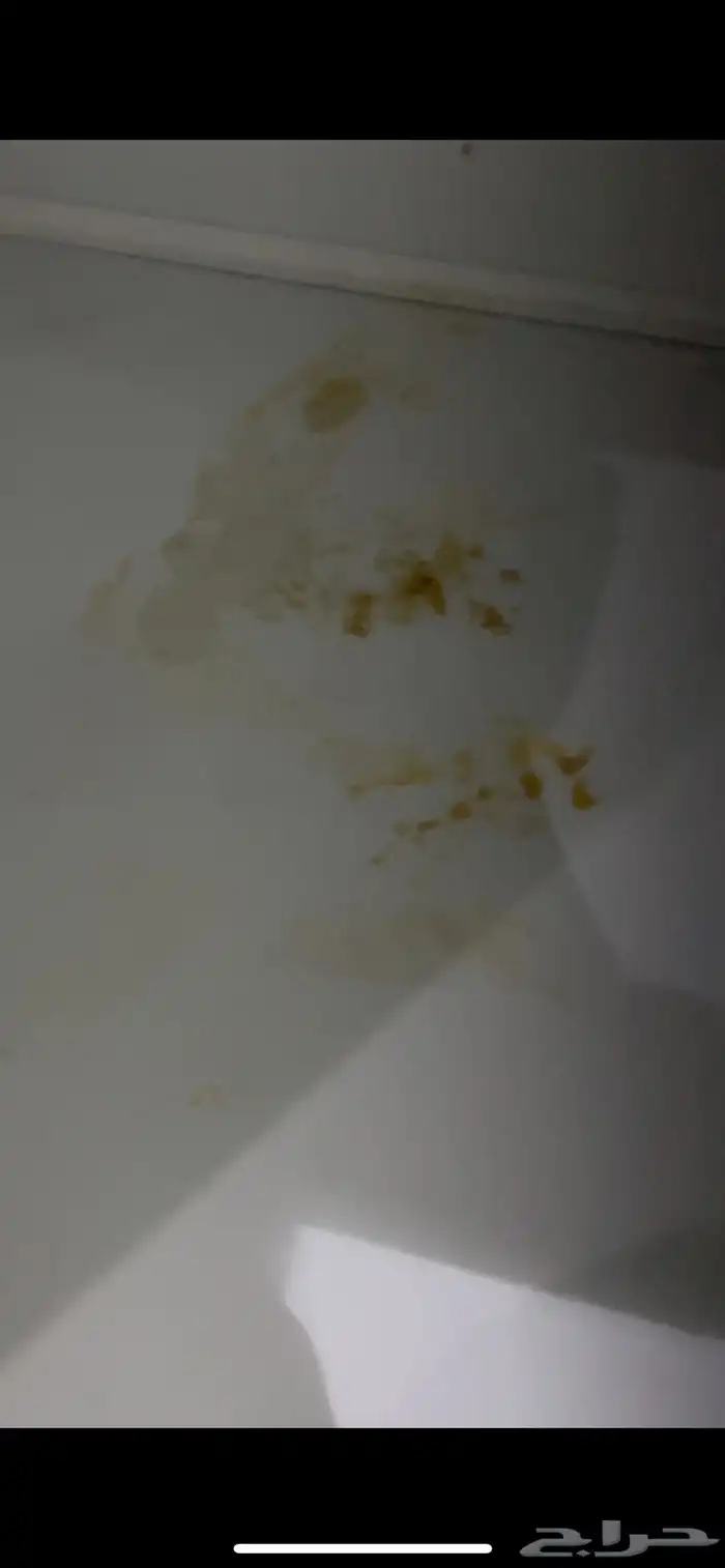 تنظيف شقق تنظيف فلل تنظيف مجالس وسجاد 10