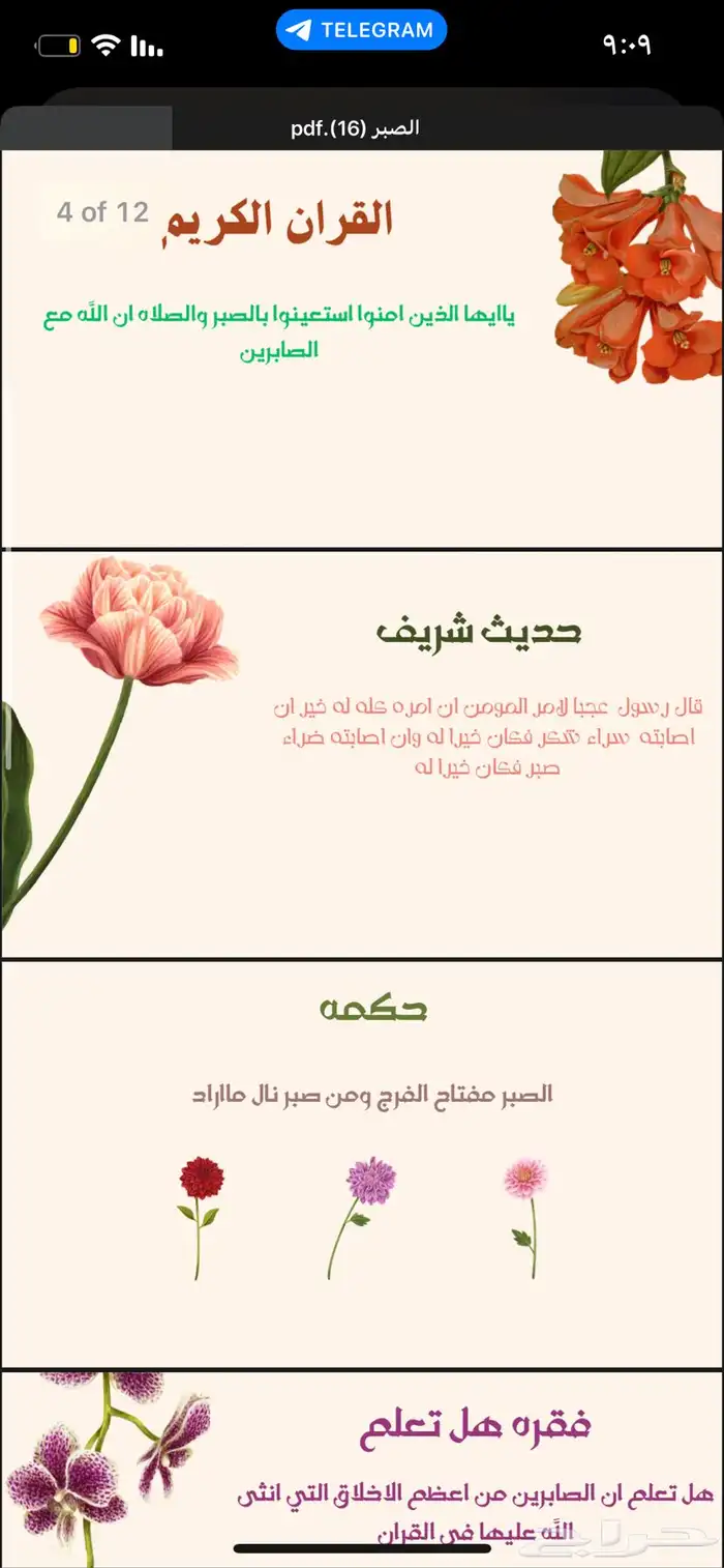 عروض بوربوينت وبحوث 1