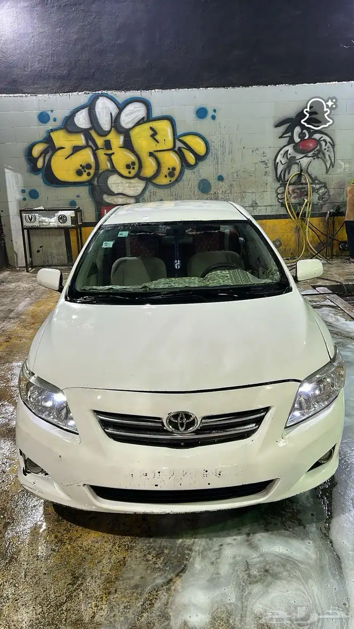 يوجد كرلا للبيع 0