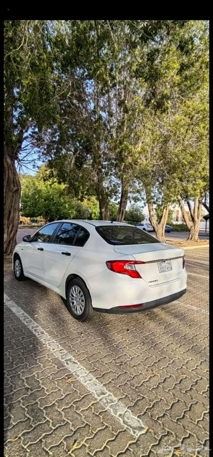 دودج نيون 2018 1