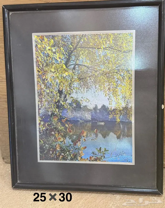 لوحات فنية وتشكيلية 21