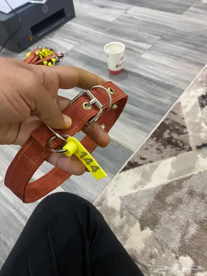 طوق او سبته او قلاده او رقم بسعر مناسب جدا 1