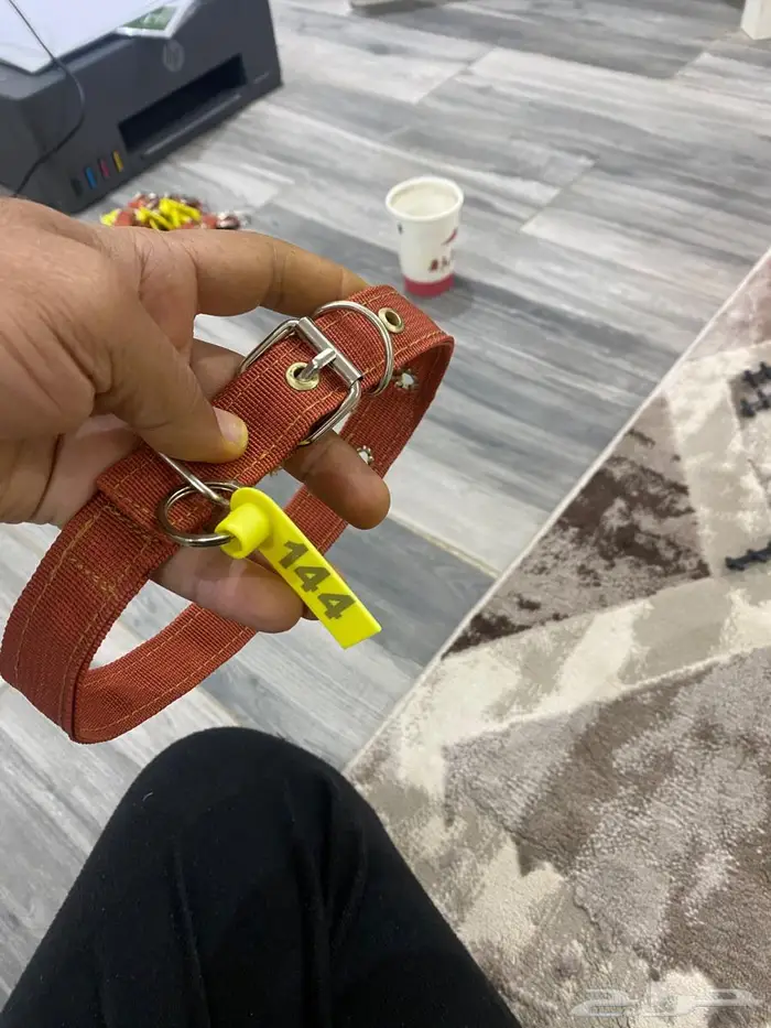 طوق او سبته او قلاده او رقم بسعر مناسب جدا 2