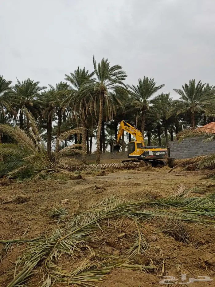 بوكلين حفار و جي سي بي للايجار اليوم 0