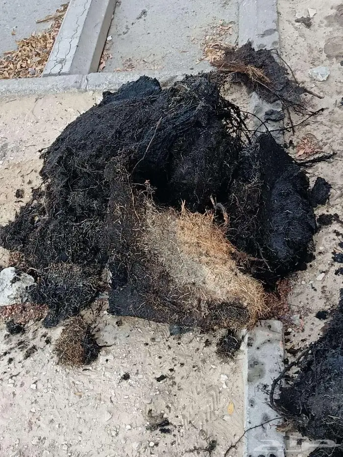 شركة تسليك مجاري بالاحساء تسليك مجاري بالاحساء 3