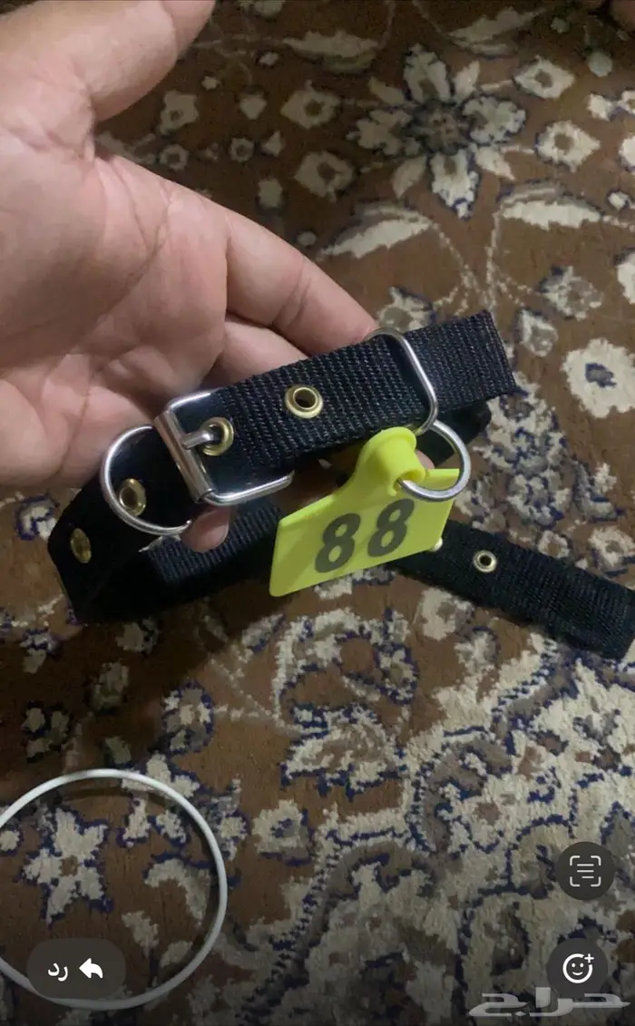 طوق او سبته او قلاده او رقم بسعر مناسب جدا 0