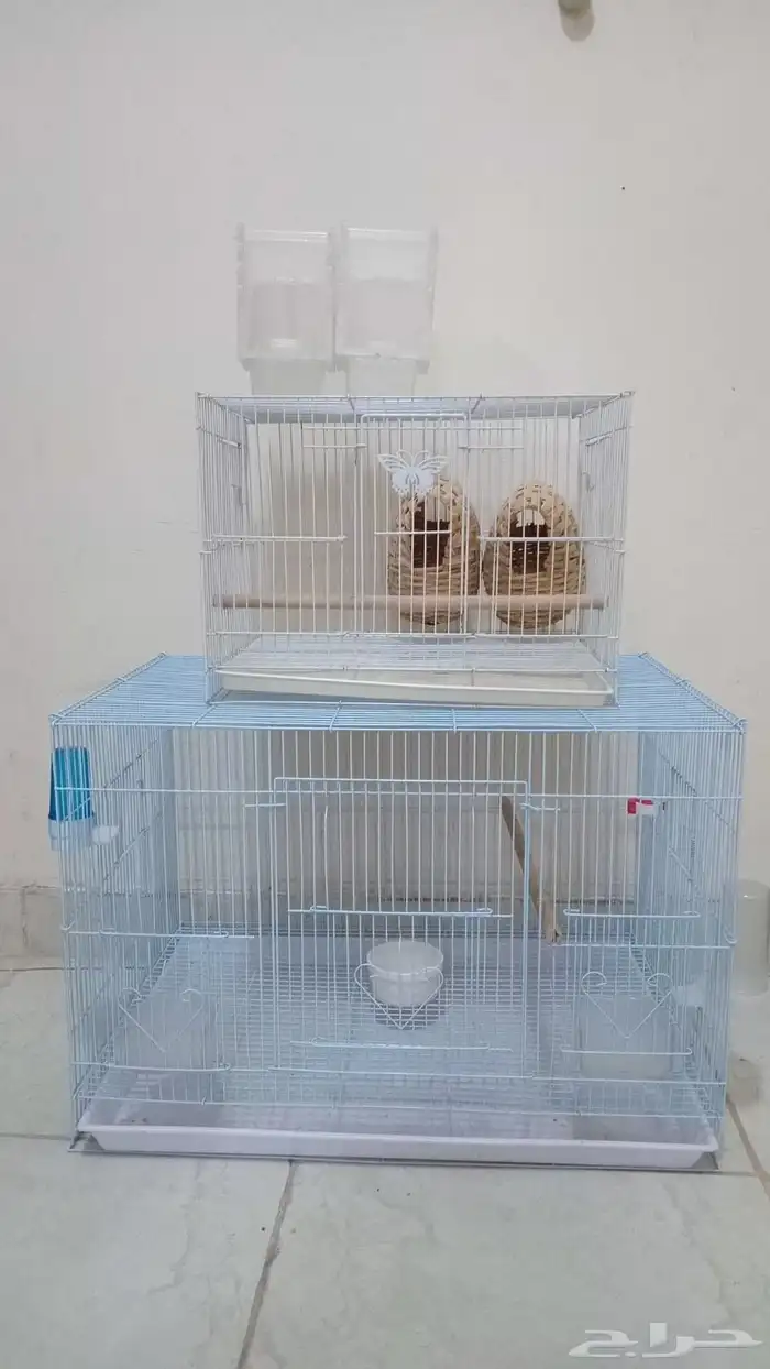 حوض سمك واقفاص طيور 2