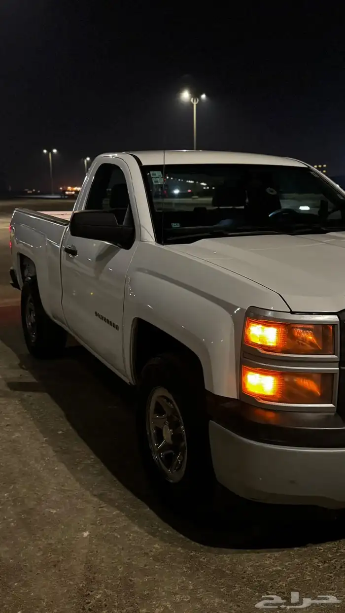 سلفرادوا 2015 8