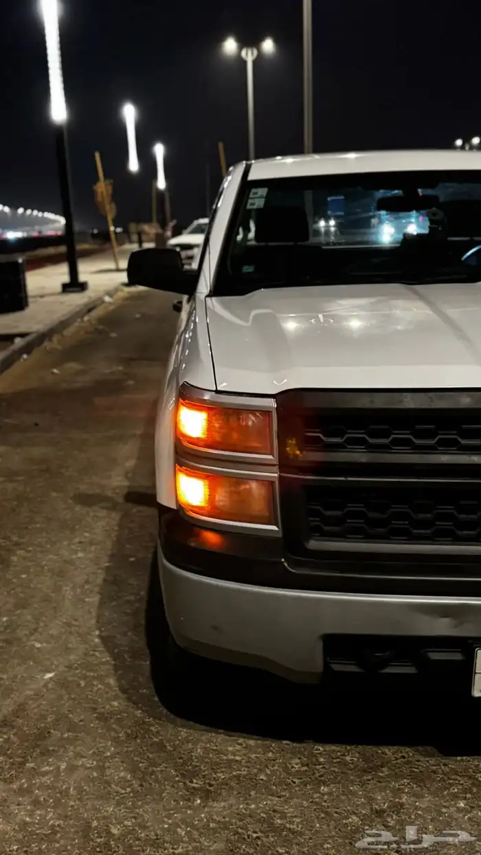 سلفرادوا 2015 3