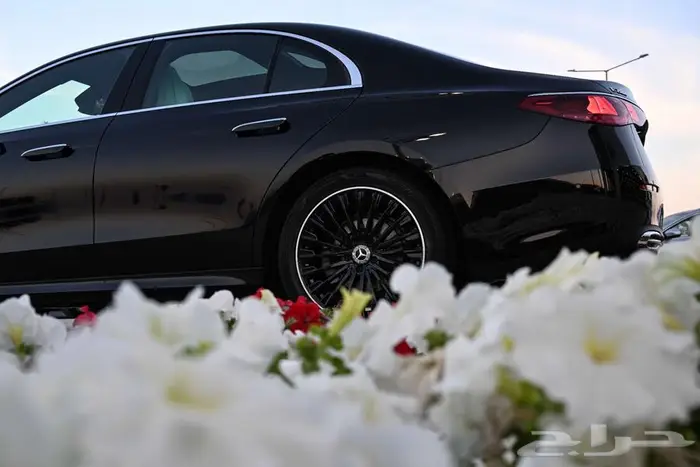 شركة البريمي لسيارات مرسيدس 12