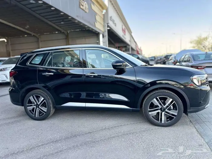 فورد تيريتوري تيتانيوم بلس 2026 6