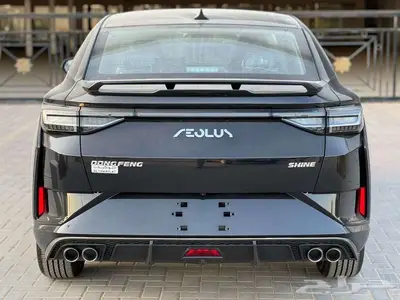 دونج فينج شاين2026 index