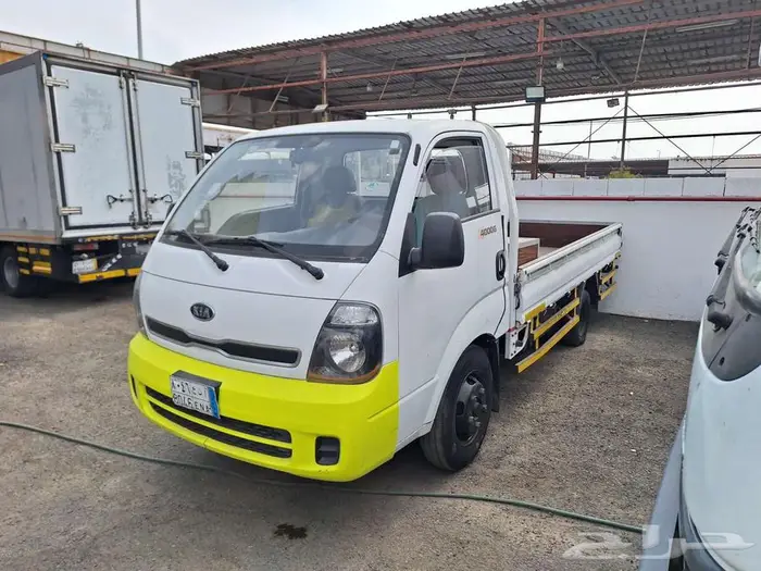 دينا كيا 2013 1