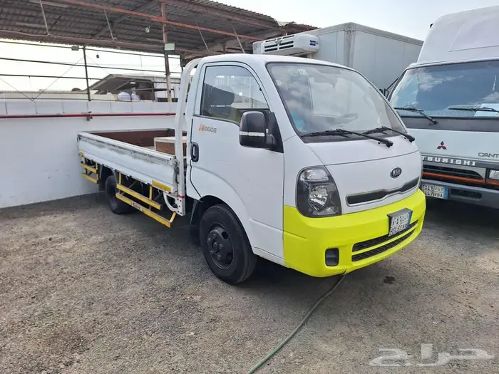 دينا كيا 2013 0