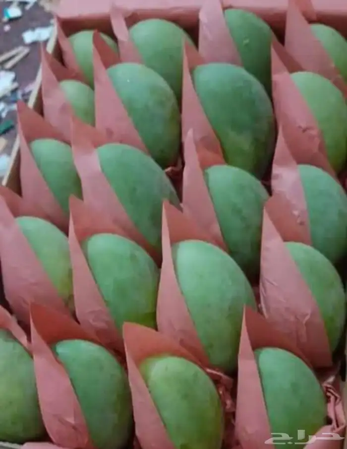 فرص استثمار واعدة ومتميزة 7