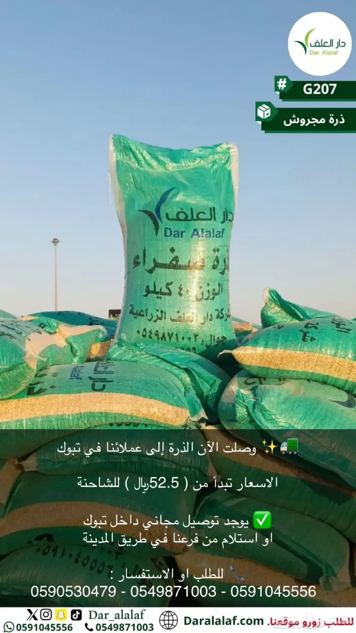 ذرة مجروشة في تبوك 0