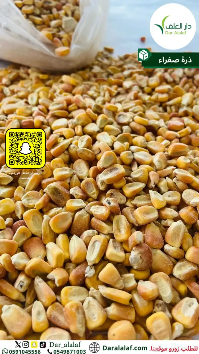 ذرة مجروشة في تبوك والمحافظات 4