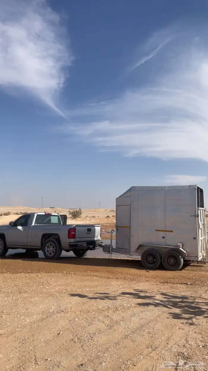 عربة نقل خيل راسين موقع التواجد في حريملاء وملهم شمال الرياض 5