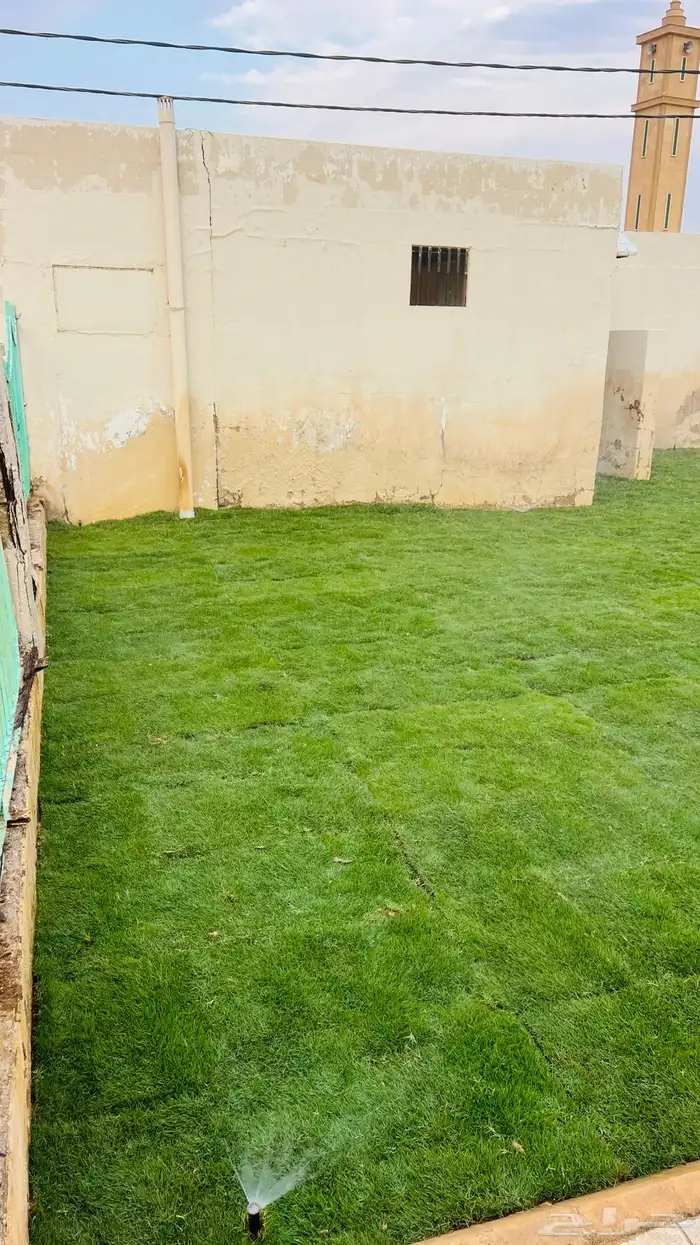 ثيل طبيعي C2000 1