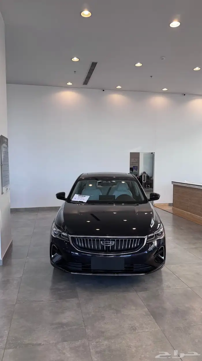 جيلي امقراند بعرض مميز لفترة محدودة 8