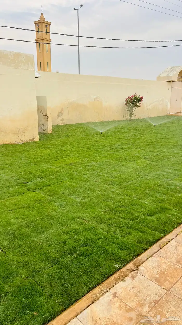 ثيل طبيعي C2000 0